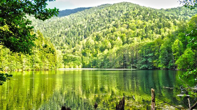 Kareli in the vicinity