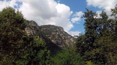 Guliko Margiani Guest House_5