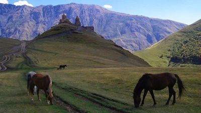 Ineza's Guest House_8