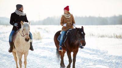 Orbi Palace Apartment 213_4