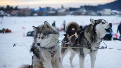 Orbi Palace Apartment 213_7