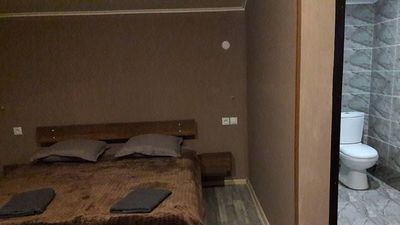 Cottage in Bakuriani_3