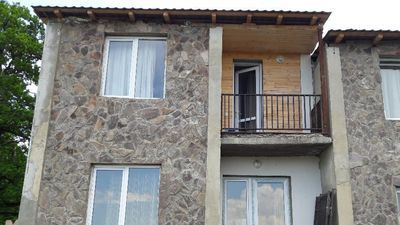 Cottage in Bakuriani - House at the Forest_2