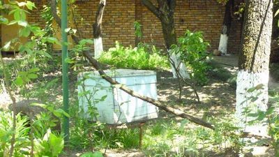 Guest House Gurjaani_8