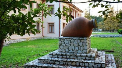 Wine house & L'Auberge Dadianebi_4