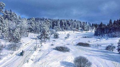 Bakuriani Mgzavrebi Apt 220_6