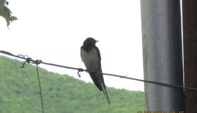 Cherqe Guest House_9