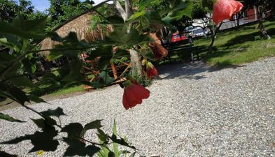 Kolkhi Guest House_6