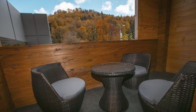 The Valley Residences & Spa Bakuriani_6