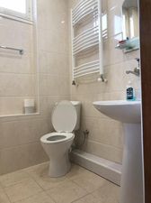 House in the nature_9