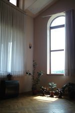 House in the forest_9