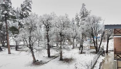 Bakuriani park residence apt 15_7