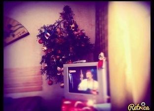 Cottage in Bakuriani_9