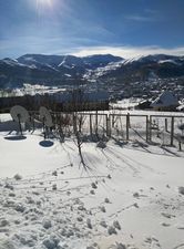 Cottage in Bakuriani_2