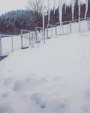 Cottage in Bakuriani_4