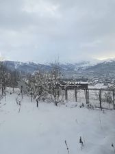 Cottage in Bakuriani_6