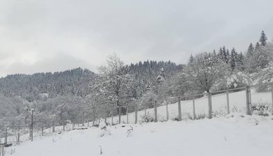 Cottage in Bakuriani_7