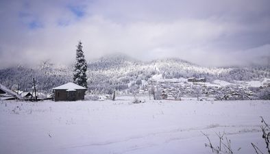 Didveli Shale Lele 146_2