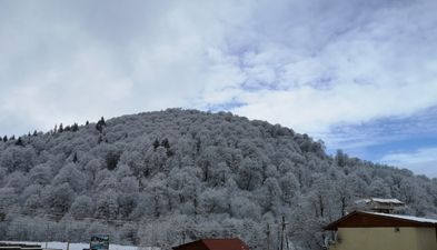 Didveli Shale Lele 146_3