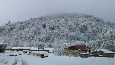 Didveli Shale Lele 146_5