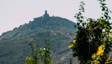 Bolnisi Prime house_3