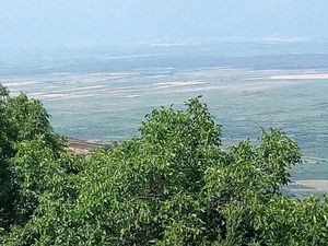 Inga's guest house_6