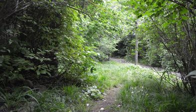 Apartment in Telavi_4