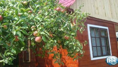 Colored cottages_1