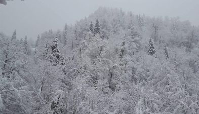 Guest house in Sairme_2