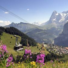 Hotel Mgzavrebi  8th block_3