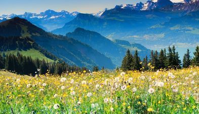 Hotel Mgzavrebi  8th block_9