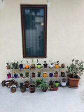 Central apartments_3