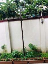 Central apartments_6