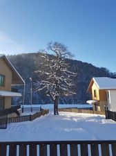 Crystal ville N19/2_2