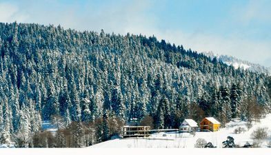 Cottage Bakuriani Kokhta_3