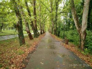 Apartment in Tskaltubo_3