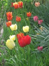 Guesthouse Radiani 14_6