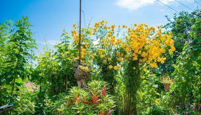 4 Rooms Boutique Hotel_5