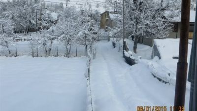 Golden Mountains House_2