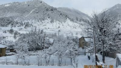 Golden Mountains House_3