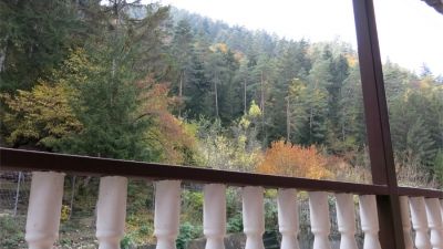 Guesthouse in Likani_3