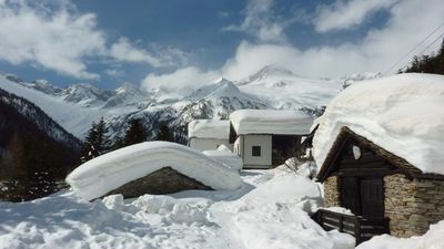 Maya's guest house_2