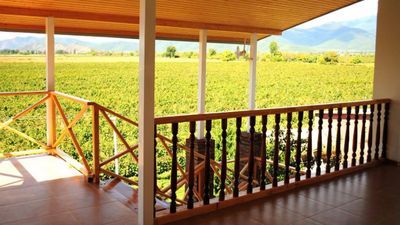 Shaloshvili's Cellar Hotel_3