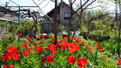 Milorava's Guest House & Wine Cellar_1