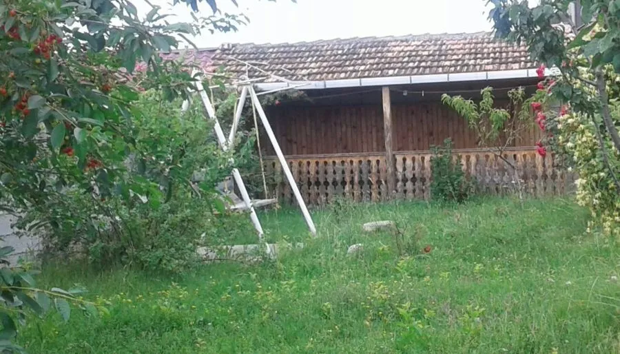 Bazaleti Guesthouse — Photo 5