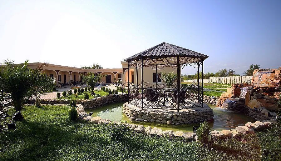 Oasis Villa — Photo 3