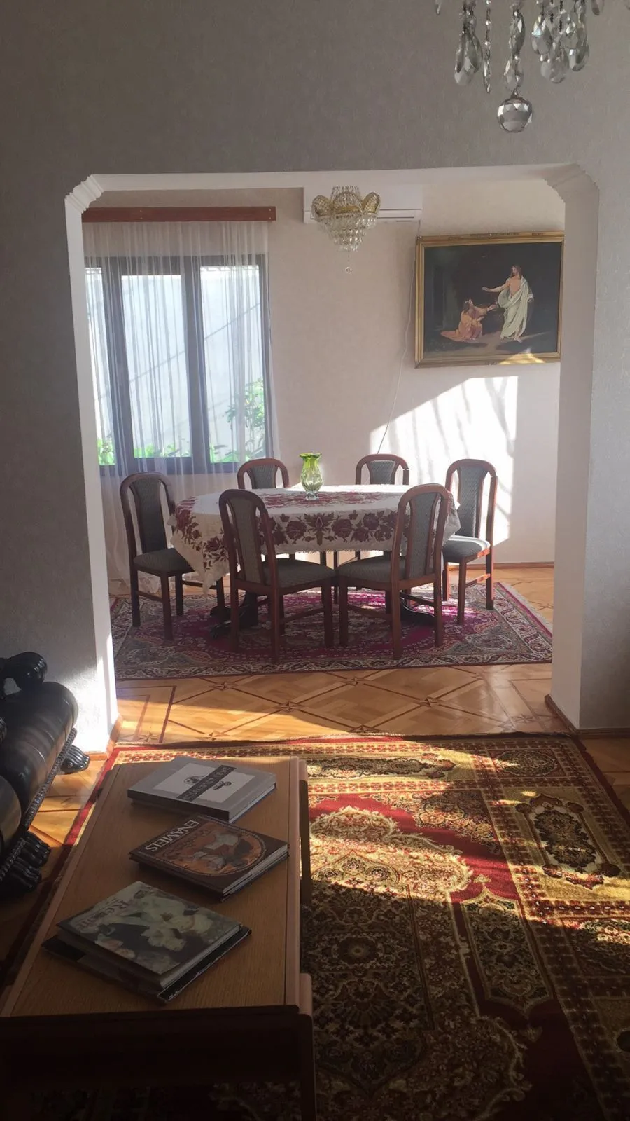 Lion — Photo 9