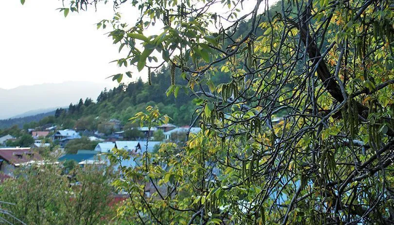 Old Borjomi — Photo 9
