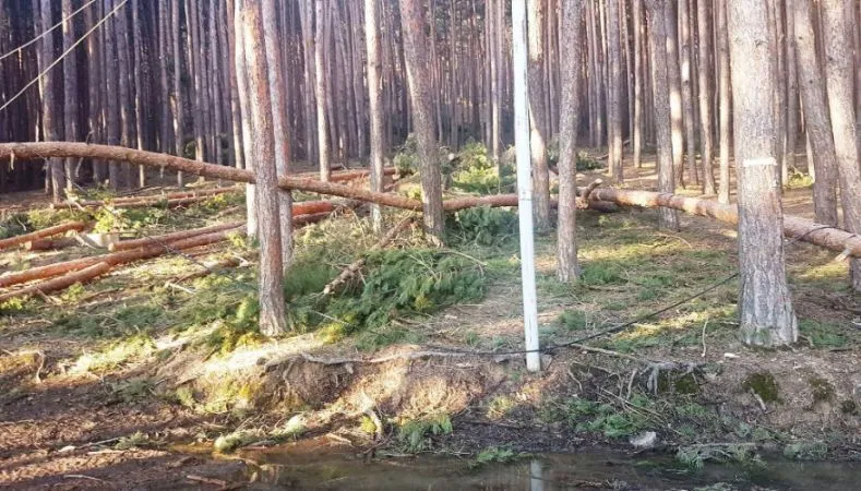 Cottage Surami — Photo 2