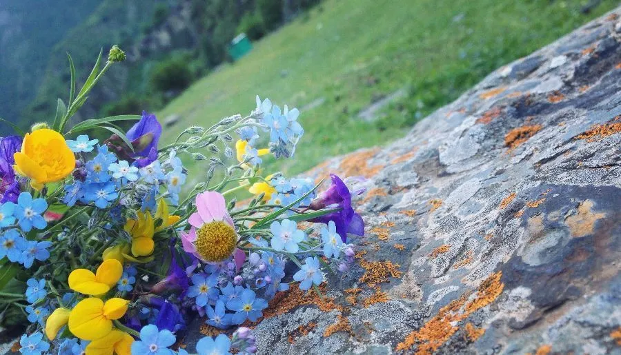 Shatili — Photo 12